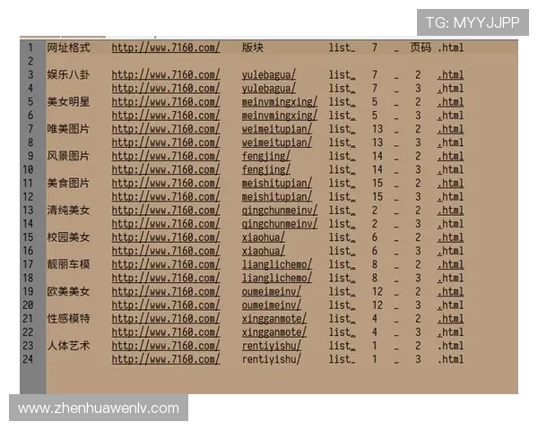 开云全站网站的设计与开发指南，提升用户体验与网站转化率的实用技巧