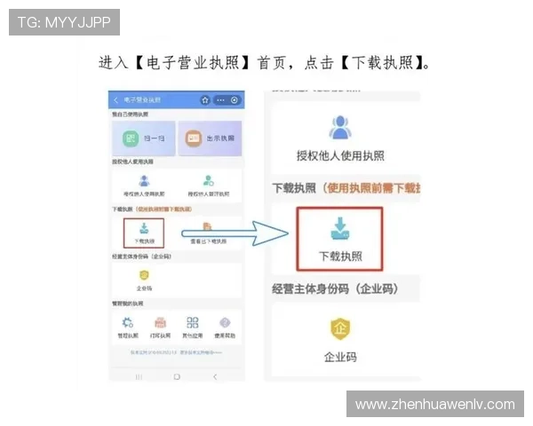 开云真人app在线登录：详细指南助您顺利完成登录步骤