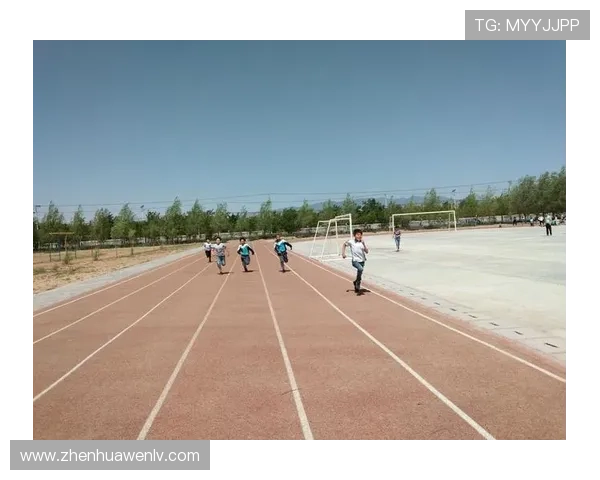 提升体育心得体会作文质量的实用建议，帮助学生全面展现体育学习成果